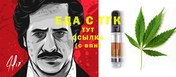 СК Алексин