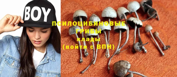 ешки Абаза