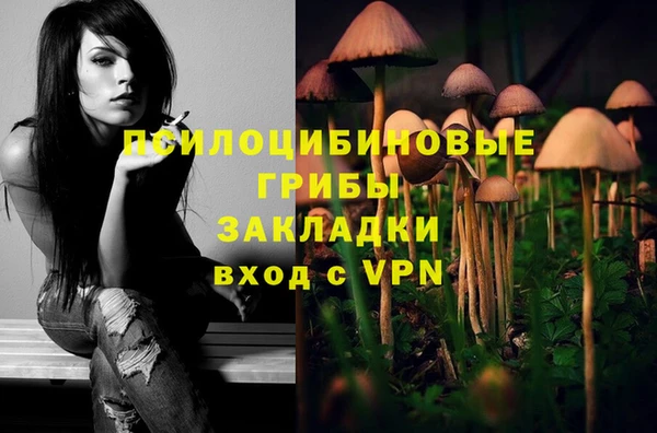 СК Абинск
