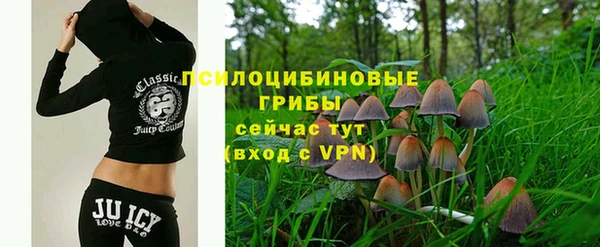 СК Алексин